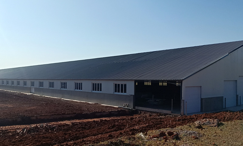 內(nèi)蒙古烏蘭察布黃茂營牛舍